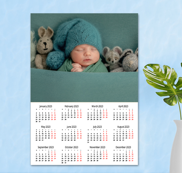 Baby Poster Calendar