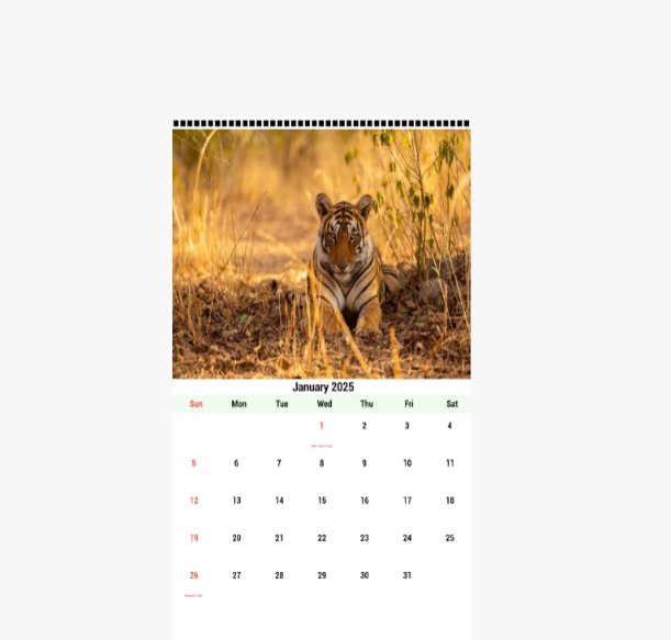 Personalised wall calendar 2025-2026 with custom photo and date options, available online in India